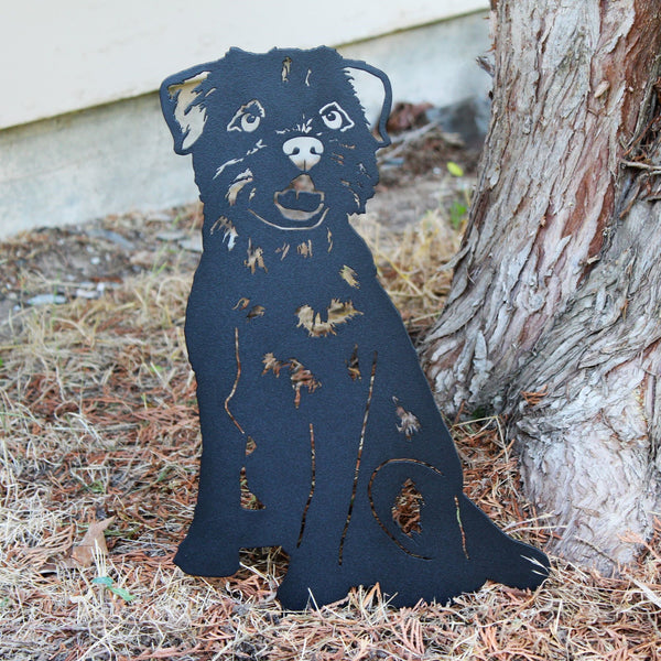 Border Terrier Corten steel dog silhouette, matte black finish, shown outdoors – My Metal Rescue