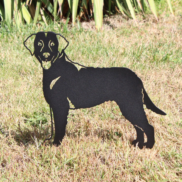 Curly Coated Retriever Corten steel dog silhouette, matte black finish, shown outdoors – My Metal Rescue