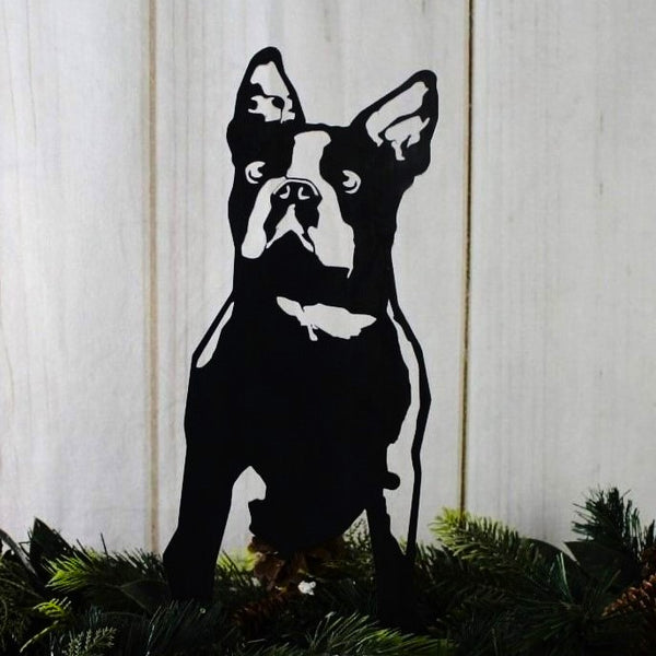 Boston Terrier Corten steel dog silhouette, matte black finish – My Metal Rescue