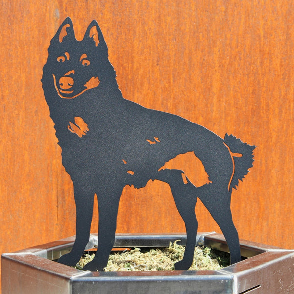 Schipperke Corten steel dog silhouette, matte black finish – My Metal Rescue
