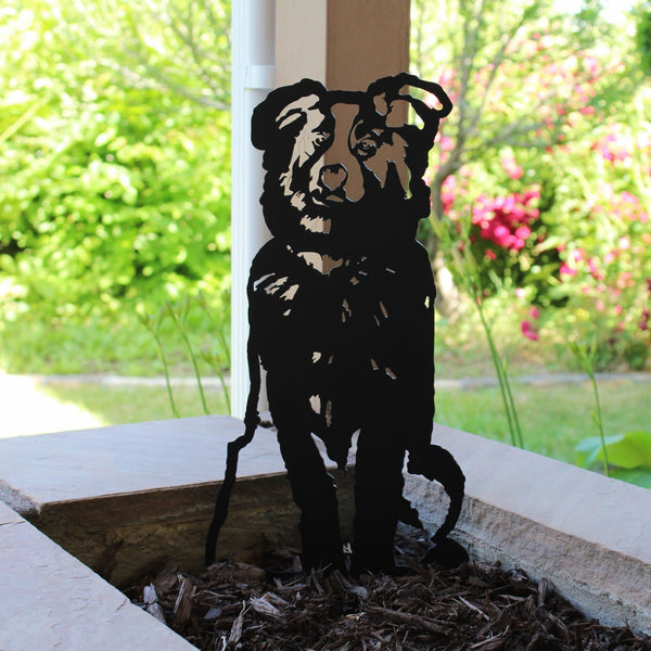 Australian Shepherd Corten steel dog silhouette, matte black finish, shown outdoors – My Metal Rescue