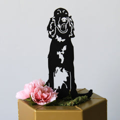 Irish Setter