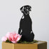 Weimaraner