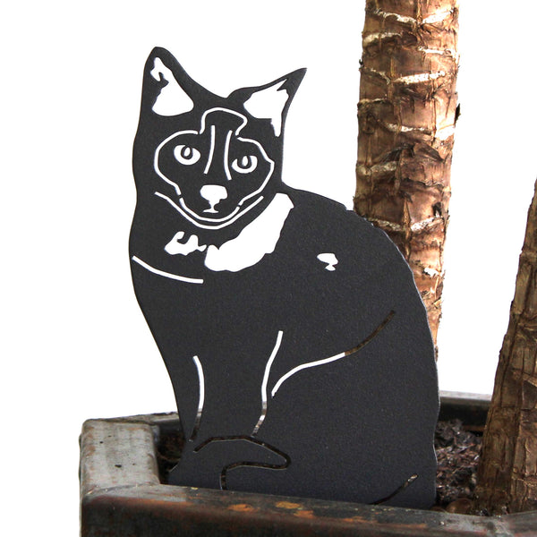 Birman Corten steel dog silhouette, matte black finish, shown outdoors – My Metal Rescue