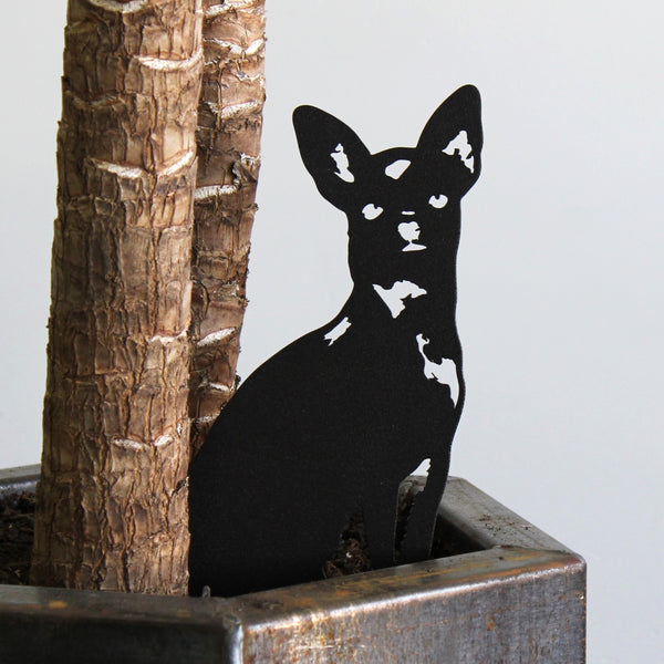 Chihuahua Corten steel dog silhouette, matte black finish, shown outdoors – My Metal Rescue