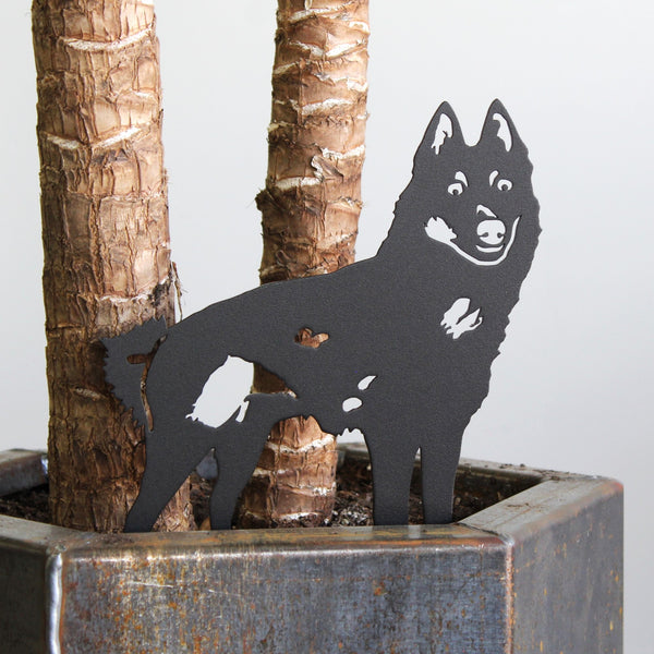 Schipperke Corten steel dog silhouette, matte black finish, shown outdoors – My Metal Rescue
