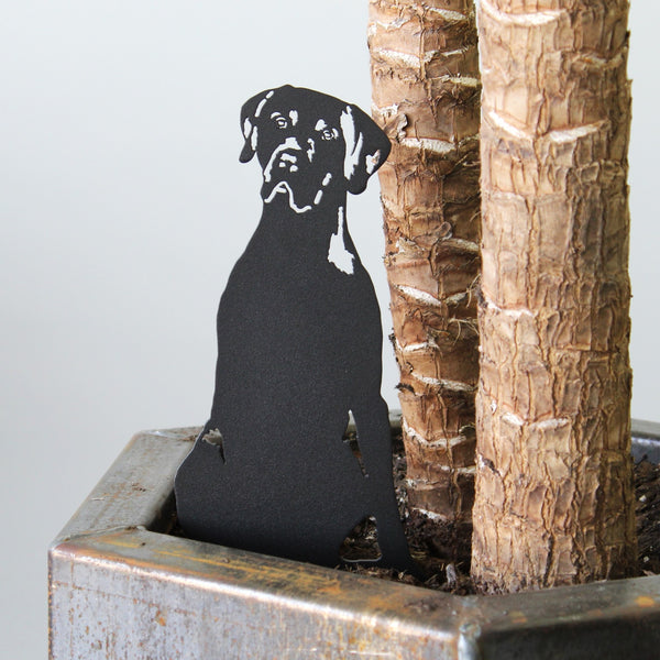 Weimaraner Corten steel dog silhouette, matte black finish, shown outdoors – My Metal Rescue