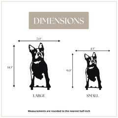 Boston Terrier