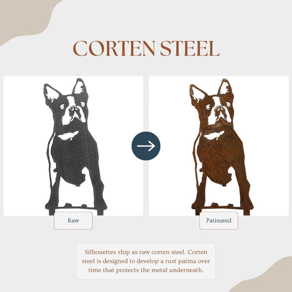 Boston Terrier Corten steel dog silhouette – My Metal Rescue