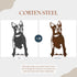Boston Terrier