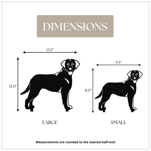 Curly Coated Retriever Corten steel dog silhouette, matte black finish – My Metal Rescue