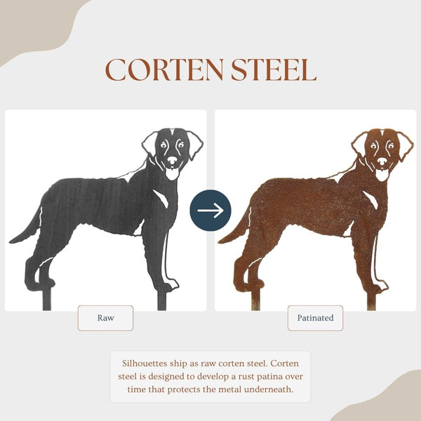 Curly Coated Retriever Corten steel dog silhouette – My Metal Rescue