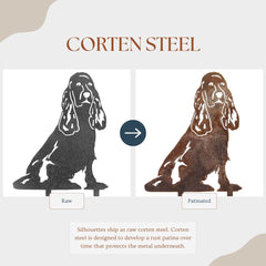 Cocker Spaniel