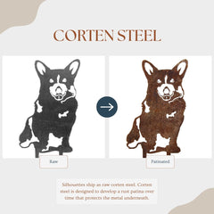 Corgi