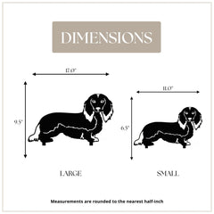 Dachshund - Longhaired