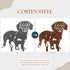 Dachshund - Shorthaired