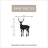 Deer - Buck