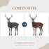 Deer - Buck