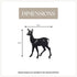 Deer - Doe