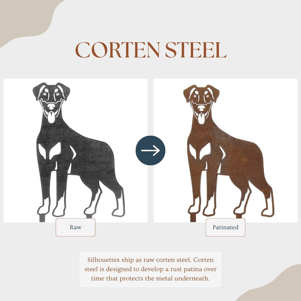 Doberman Pinscher Natural Ear Corten steel dog silhouette – My Metal Rescue