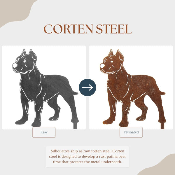 Dogo Argentino Corten steel dog silhouette – My Metal Rescue