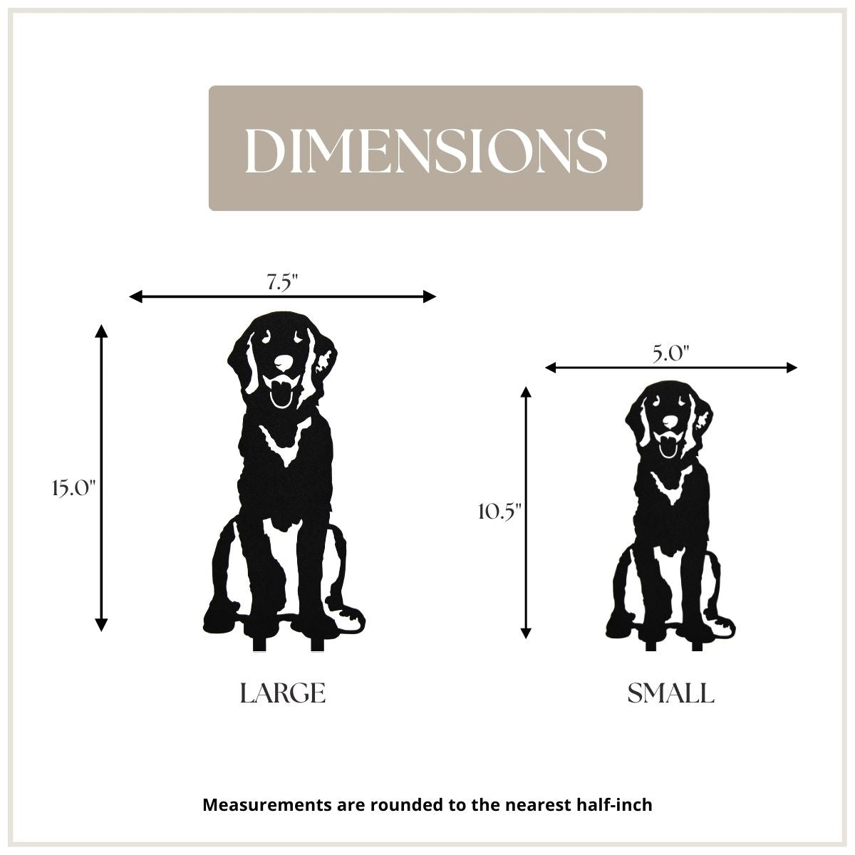 Flat Coated Retriever