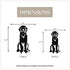 Flat Coated Retriever