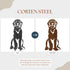 Flat Coated Retriever