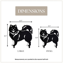 Keeshond