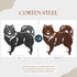 Keeshond