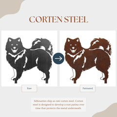 Keeshond