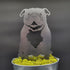 English Bulldog