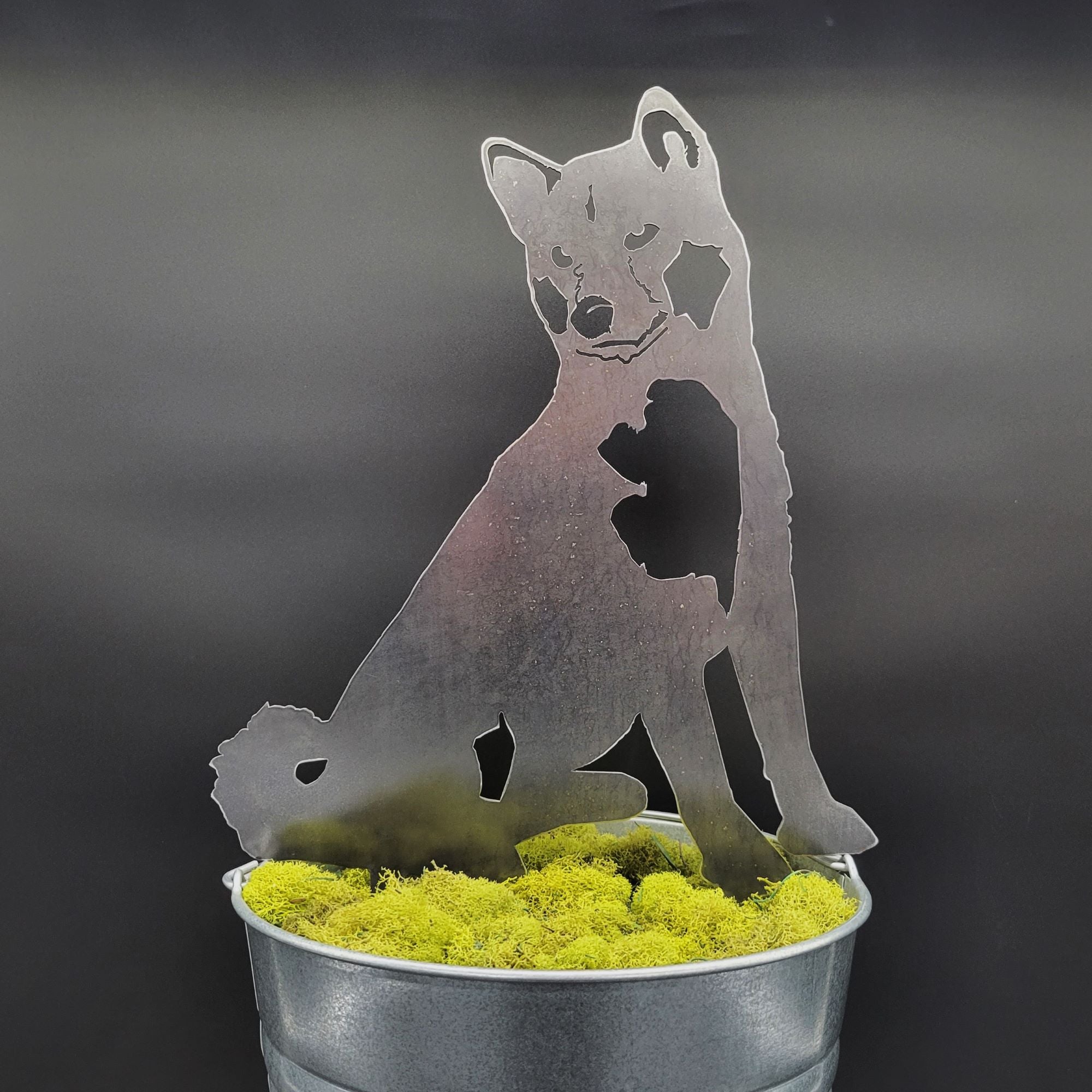 Akita