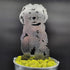 Havanese
