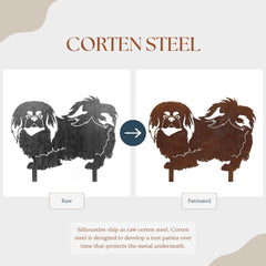 Pekingese