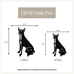 Toy Fox Terrier