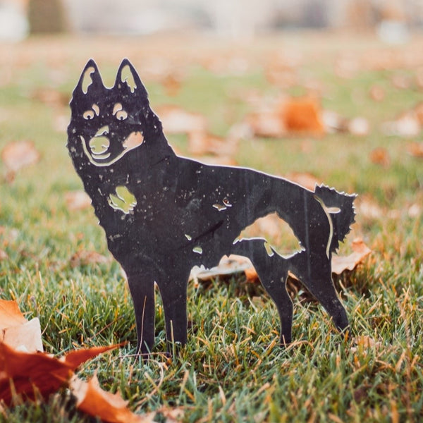 Schipperke Corten steel dog silhouette, raw polished steel finish, shown outdoors – My Metal Rescue