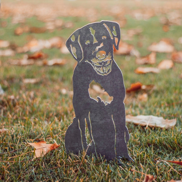 German Wirehaired Pointer Corten steel dog silhouette, raw polished steel finish, shown outdoors – My Metal Rescue