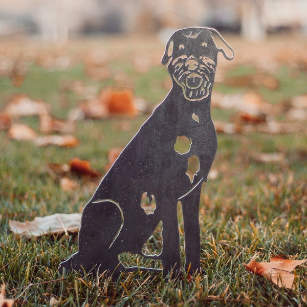 Irish Wolfhound Corten steel dog silhouette, raw polished steel finish, shown outdoors – My Metal Rescue