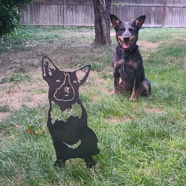 Blue Heeler Corten steel dog silhouette, raw polished steel finish – My Metal Rescue