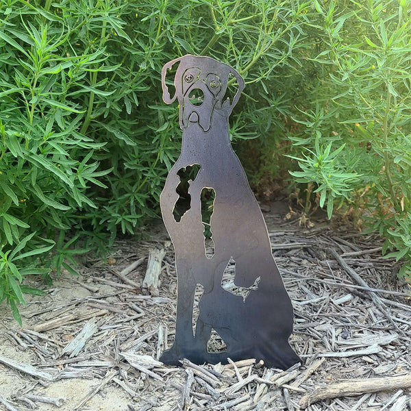 Great Dane Corten steel dog silhouette, raw polished steel finish – My Metal Rescue