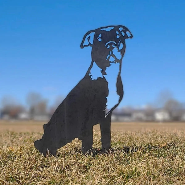 American Pit Bull Terrier Corten steel dog silhouette, raw polished steel finish, shown outdoors – My Metal Rescue