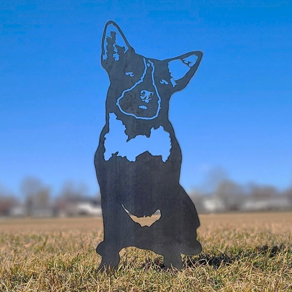 Australian Cattle Dog Corten steel dog silhouette, raw polished steel finish, shown outdoors – My Metal Rescue