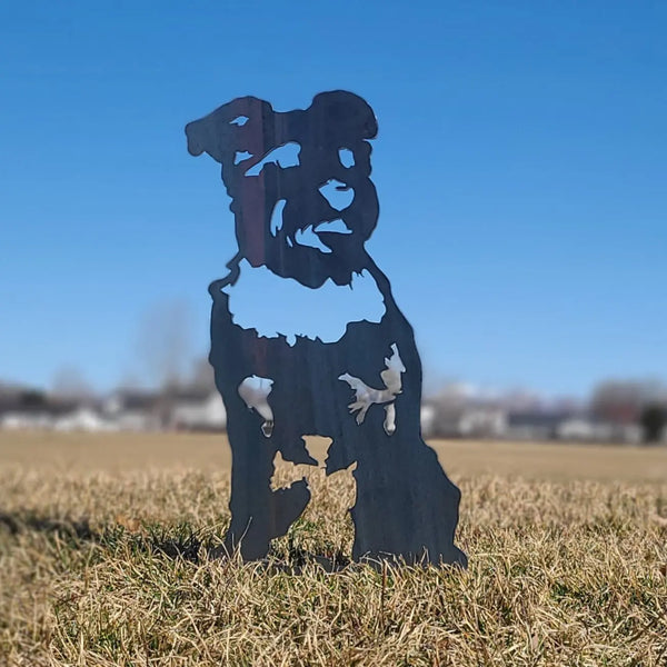 Schnauzer Corten steel dog silhouette, raw polished steel finish, shown outdoors – My Metal Rescue