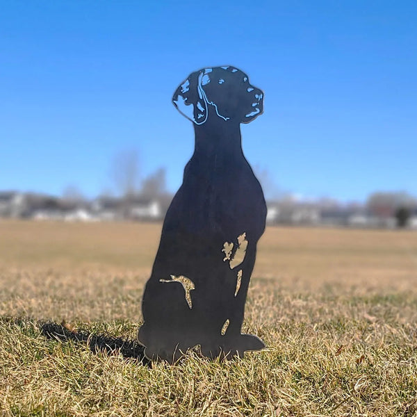 Vizsla Corten steel dog silhouette, raw polished steel finish, shown outdoors – My Metal Rescue