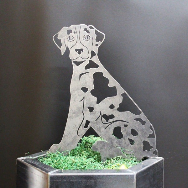 Catahoula Leopard Dog Corten steel dog silhouette, raw polished steel finish – My Metal Rescue