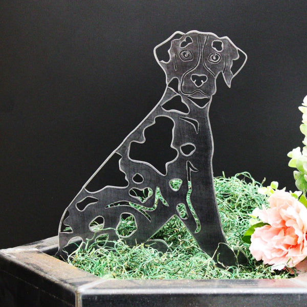 Catahoula Leopard Dog Corten steel dog silhouette, raw polished steel finish – My Metal Rescue