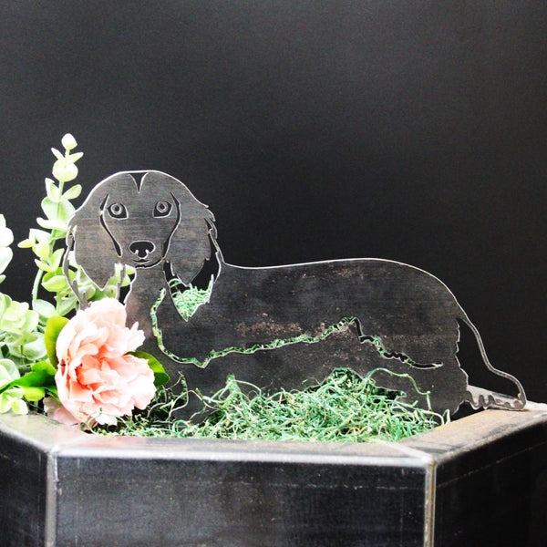 Dachshund Longhaired Corten steel dog silhouette, raw polished steel finish – My Metal Rescue