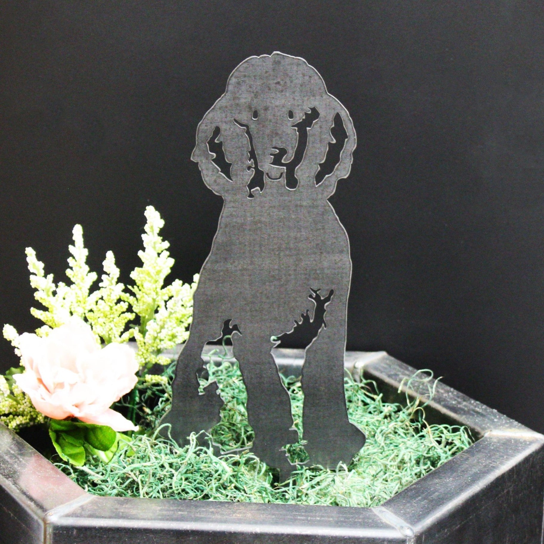 Poodle