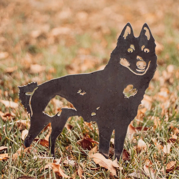 Schipperke Corten steel dog silhouette, raw polished steel finish, shown outdoors – My Metal Rescue